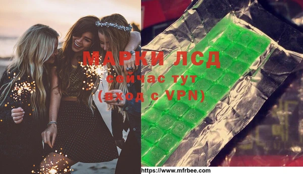 стафф Заводоуковск