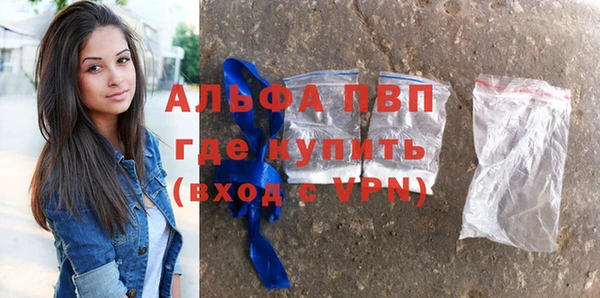 стафф Заводоуковск