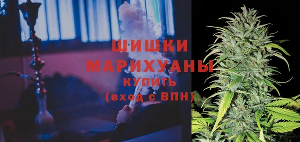 стафф Заводоуковск