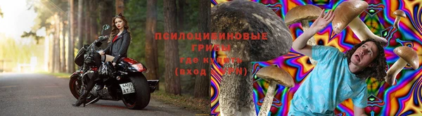 стафф Заводоуковск