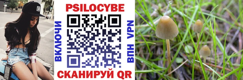 Купить  Цимлянск  Псилоцибиновые грибы прущие грибы 